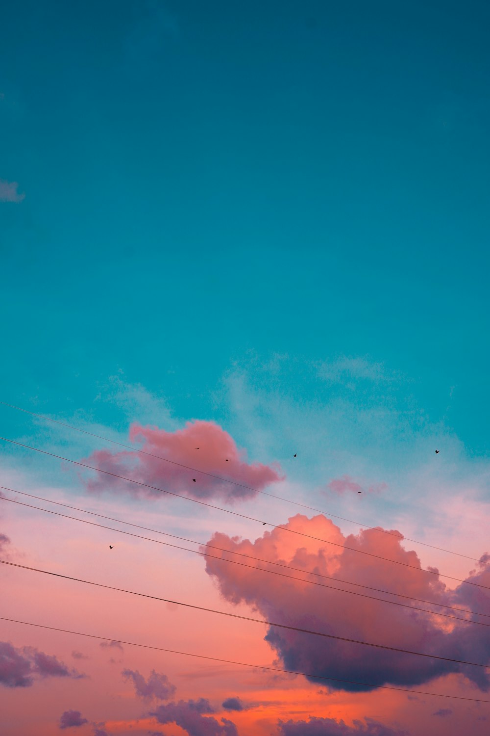 blue sky with white clouds