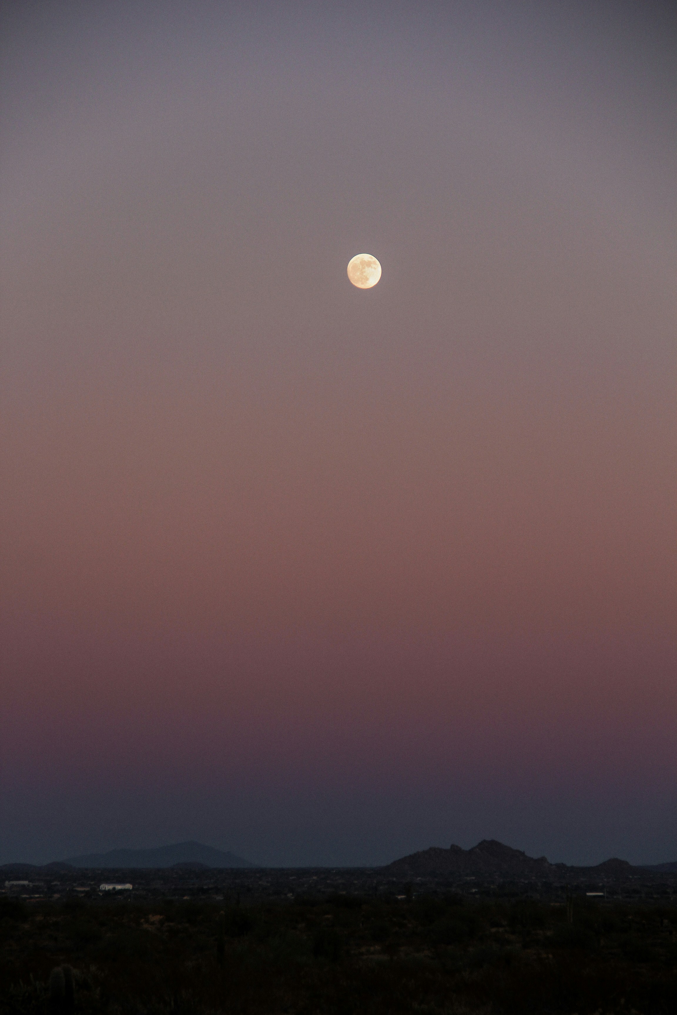 Photo by lovestephaniegreene