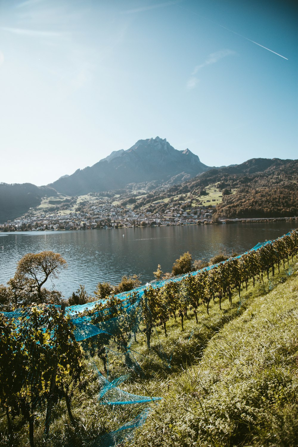 Campo de hierba verde cerca del lago durante el día