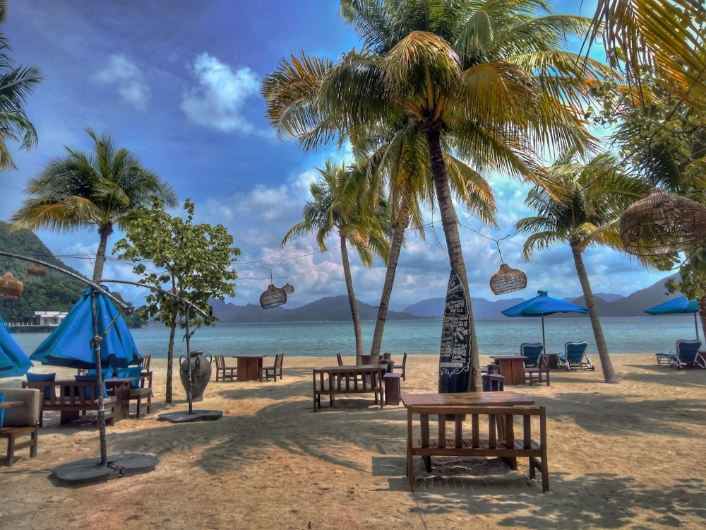 brown wooden bench near palm tree on beach during daytime