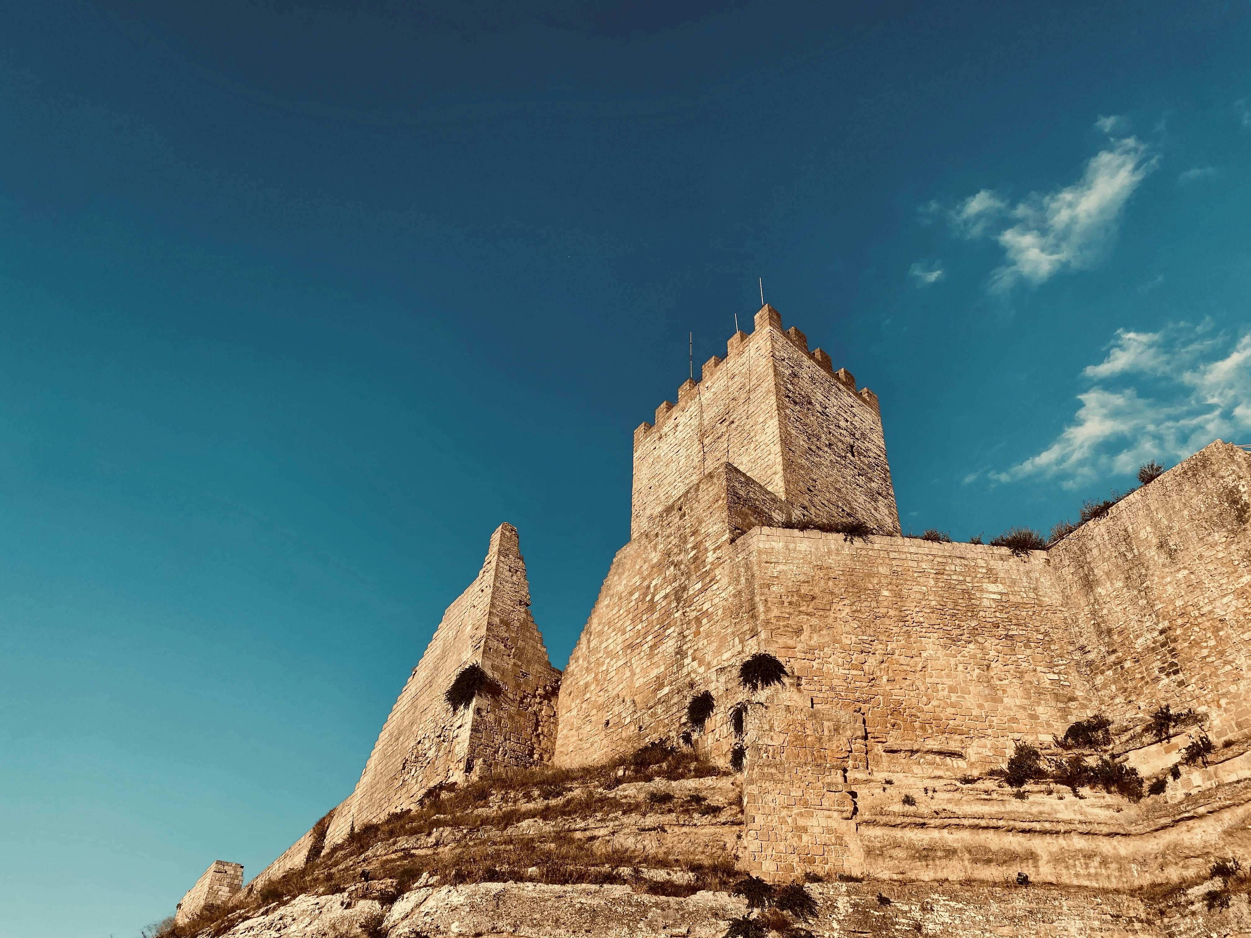 Photo by theshakasign_