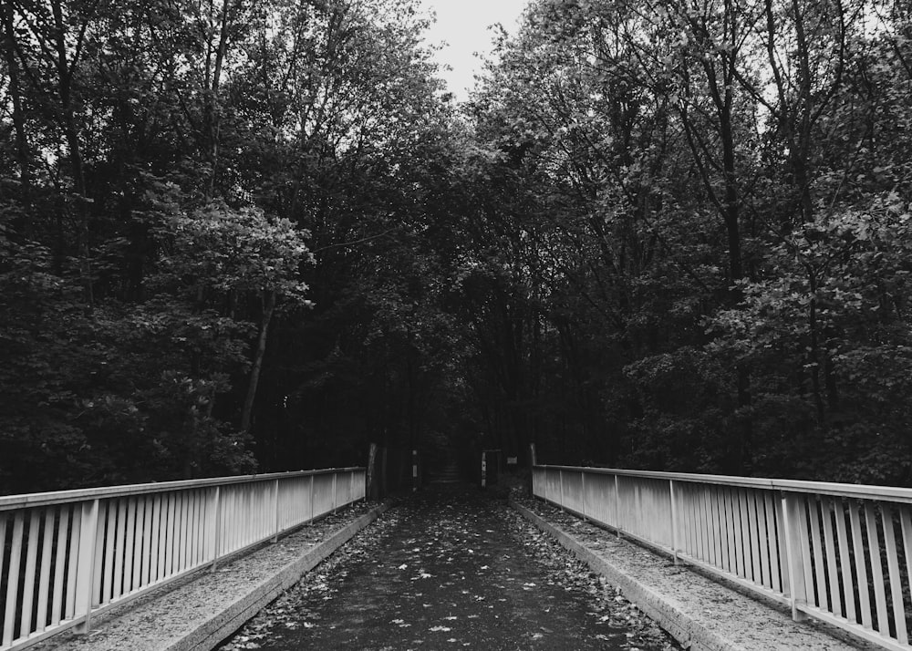 grayscale photo of train rail between trees
