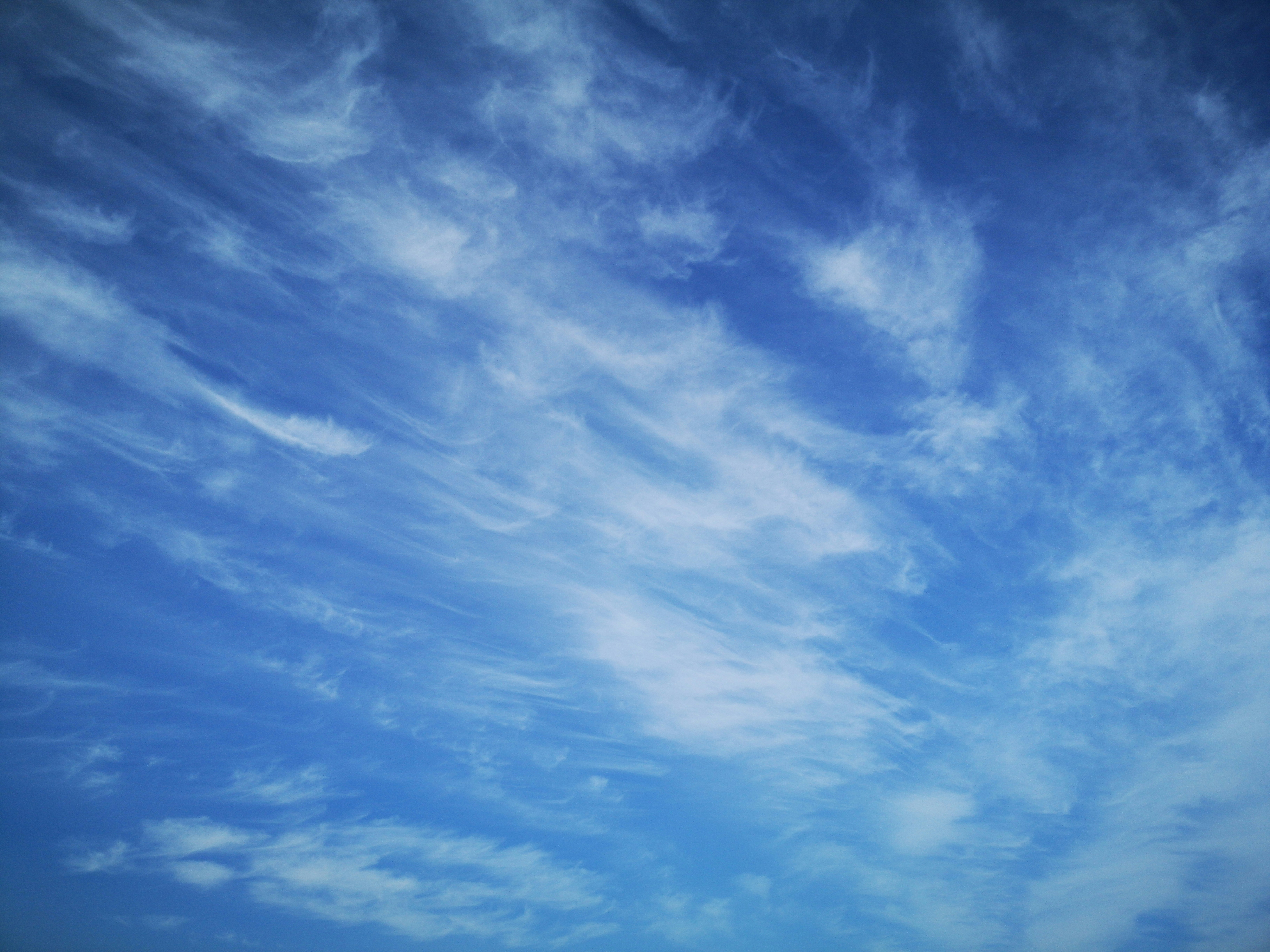 Photo by hsutherland