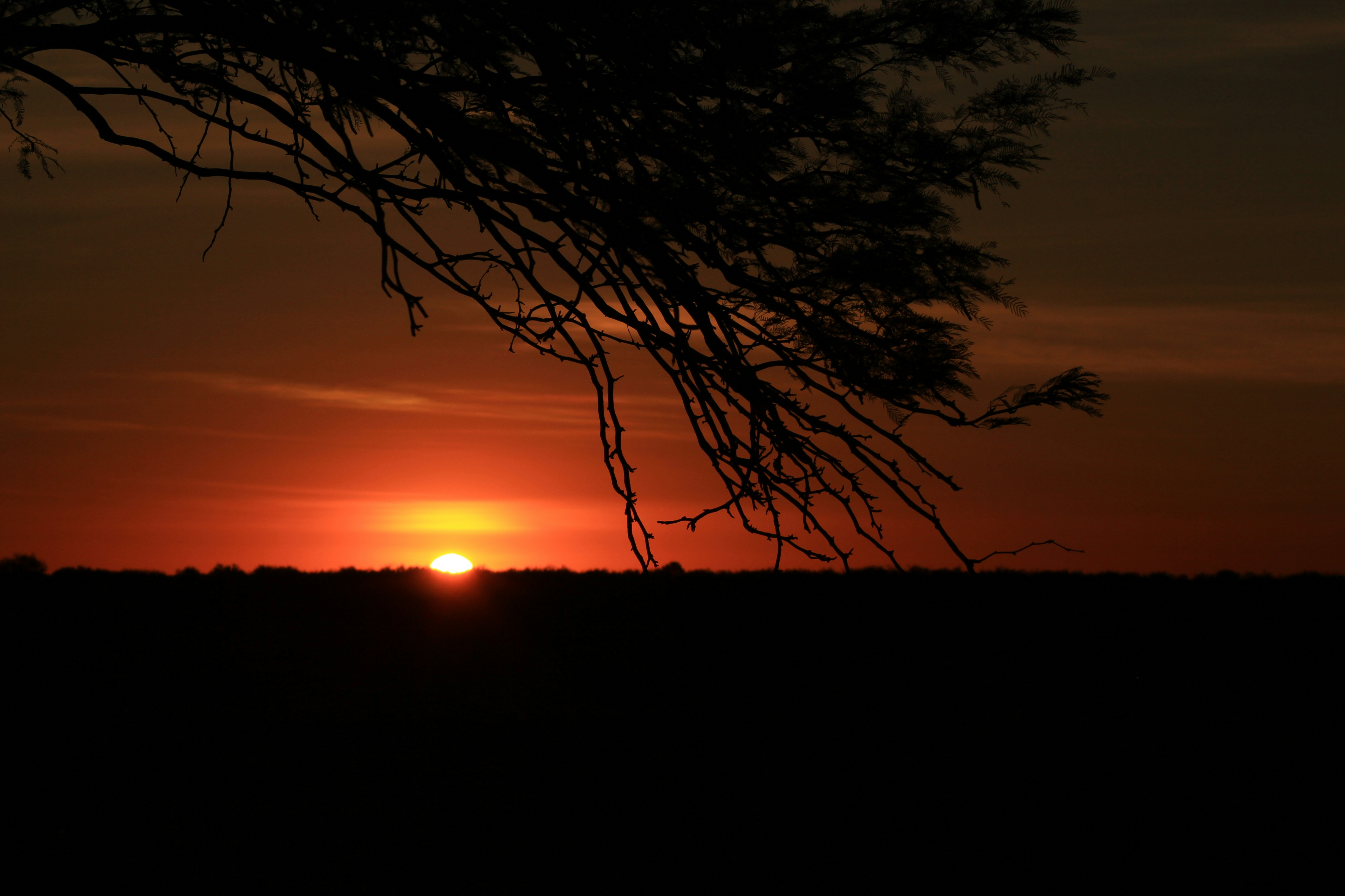 Photo by hsutherland