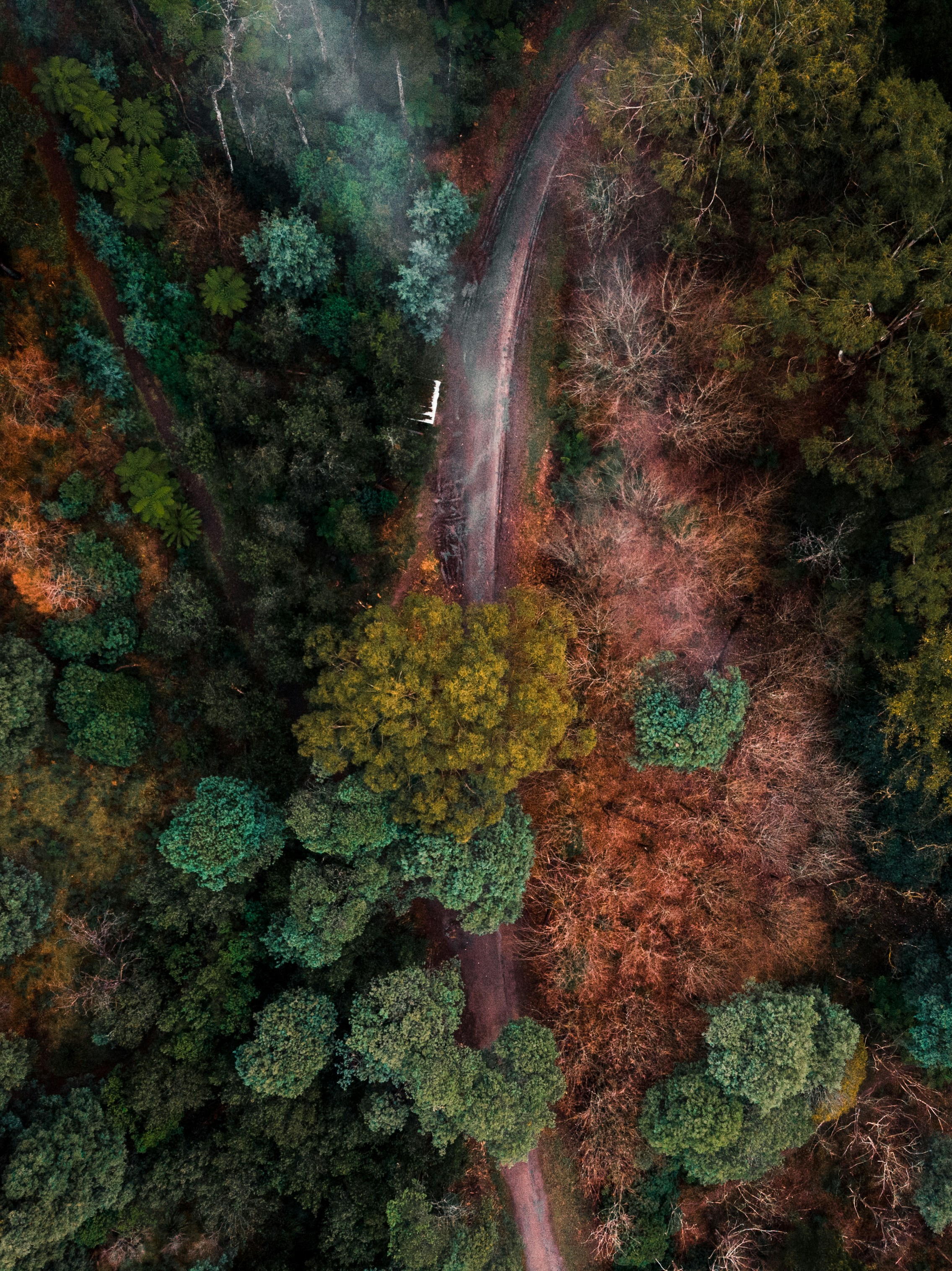 Photo by oskarsmethurst