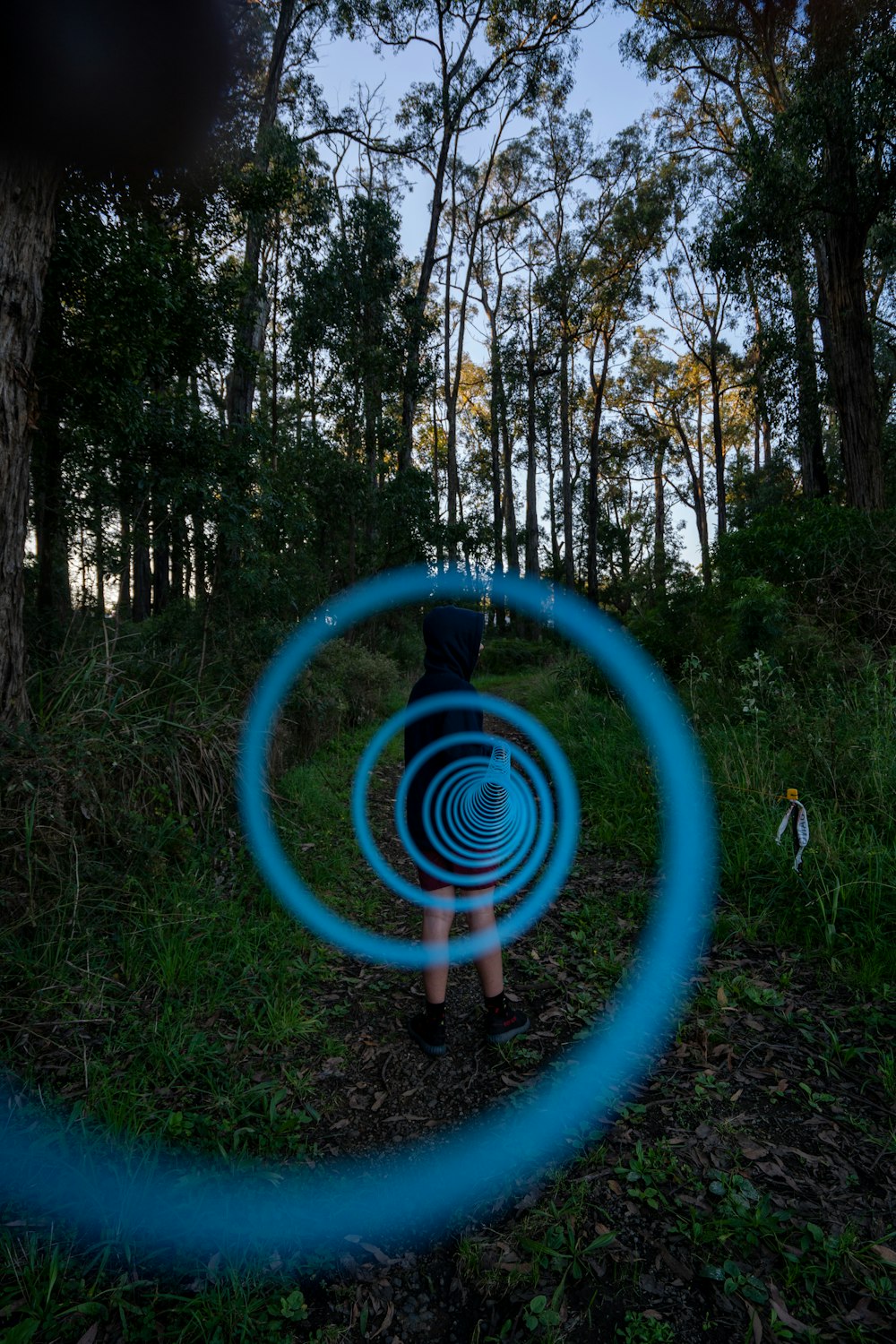 green and blue round plastic toy