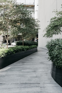 Sidewalk installation featuring clean lines and a smooth grey finish, framed by emerald green plants.