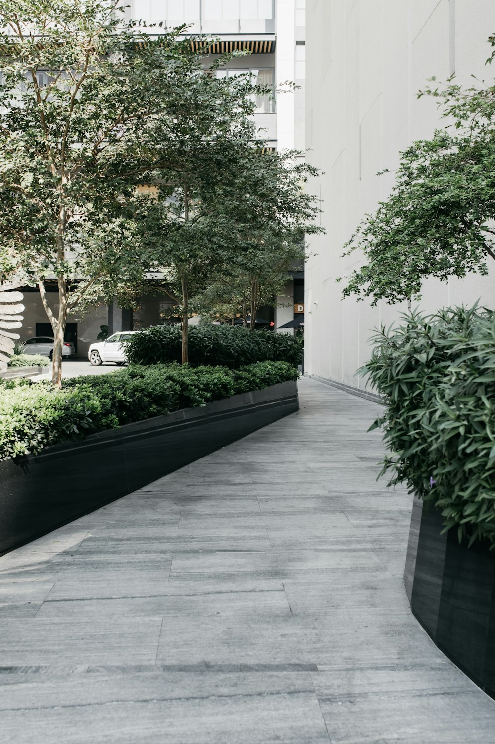 green trees near white concrete building during daytime