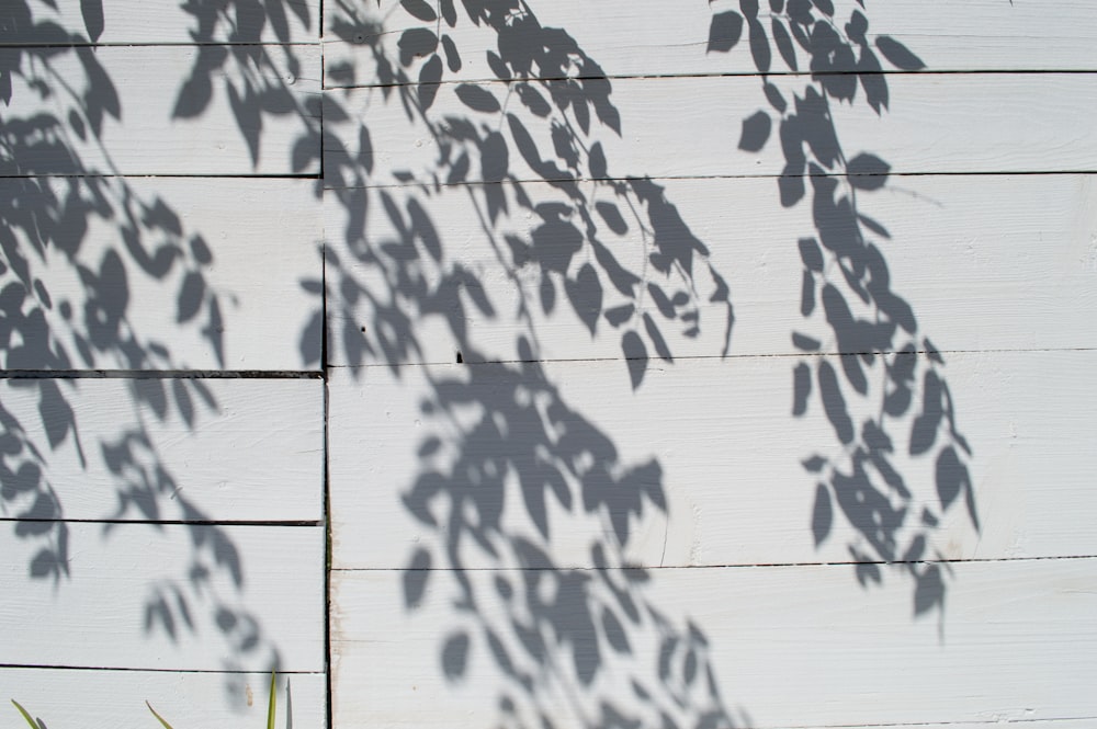 tessuto floreale in bianco e nero