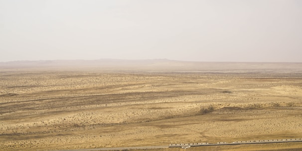 brown field under white sky during daytime