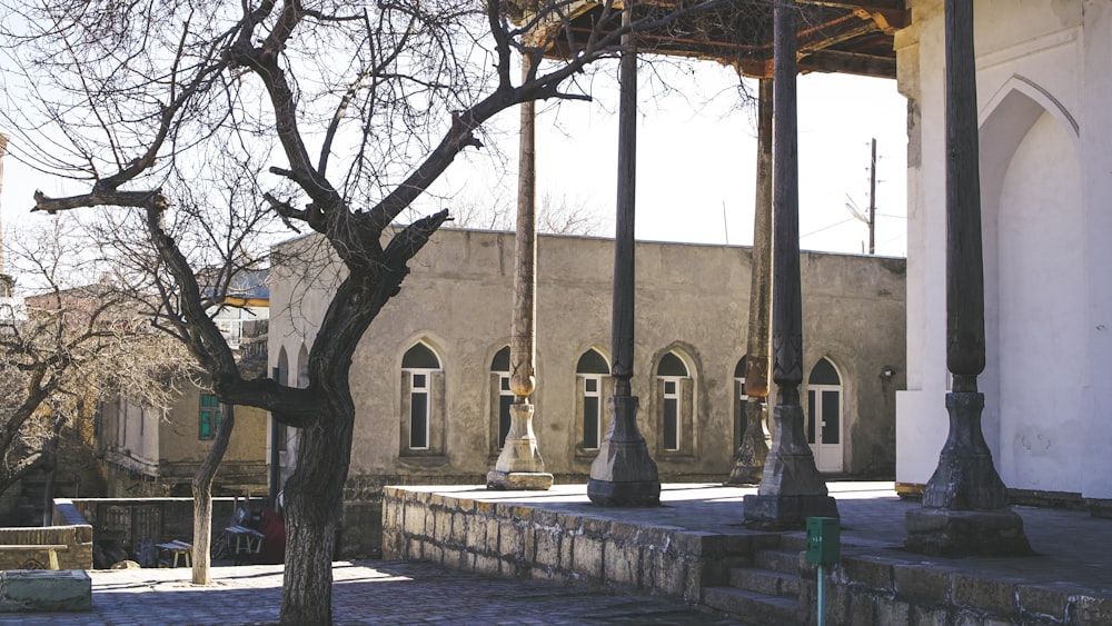 brown bare trees near brown concrete building during daytime