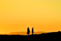 Silhouette of 2 people standing on hill during sunset