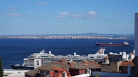 Several cruise ships are docked in a harbor with an ocean and a distant cityscape in the background. The foreground features buildings with red-tiled roofs and various architectural styles.