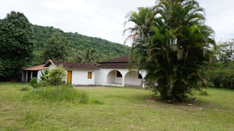 A house with white walls and a red-tiled roof stands amidst a lush, green environment. The house features arched doorways and a covered veranda. In the foreground, there is a large palm tree and some patches of grass. Behind the house, there are dense trees and a hill covered in greenery under a cloudy sky.
