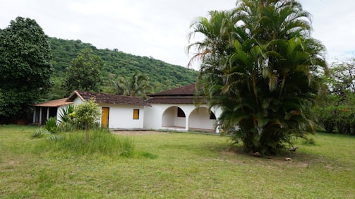 A house with white walls and a red-tiled roof stands amidst a lush, green environment. The house features arched doorways and a covered veranda. In the foreground, there is a large palm tree and some patches of grass. Behind the house, there are dense trees and a hill covered in greenery under a cloudy sky.