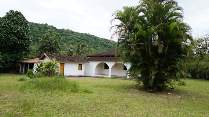 A house with white walls and a red-tiled roof stands amidst a lush, green environment. The house features arched doorways and a covered veranda. In the foreground, there is a large palm tree and some patches of grass. Behind the house, there are dense trees and a hill covered in greenery under a cloudy sky.