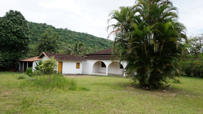 A house with white walls and a red-tiled roof stands amidst a lush, green environment. The house features arched doorways and a covered veranda. In the foreground, there is a large palm tree and some patches of grass. Behind the house, there are dense trees and a hill covered in greenery under a cloudy sky.