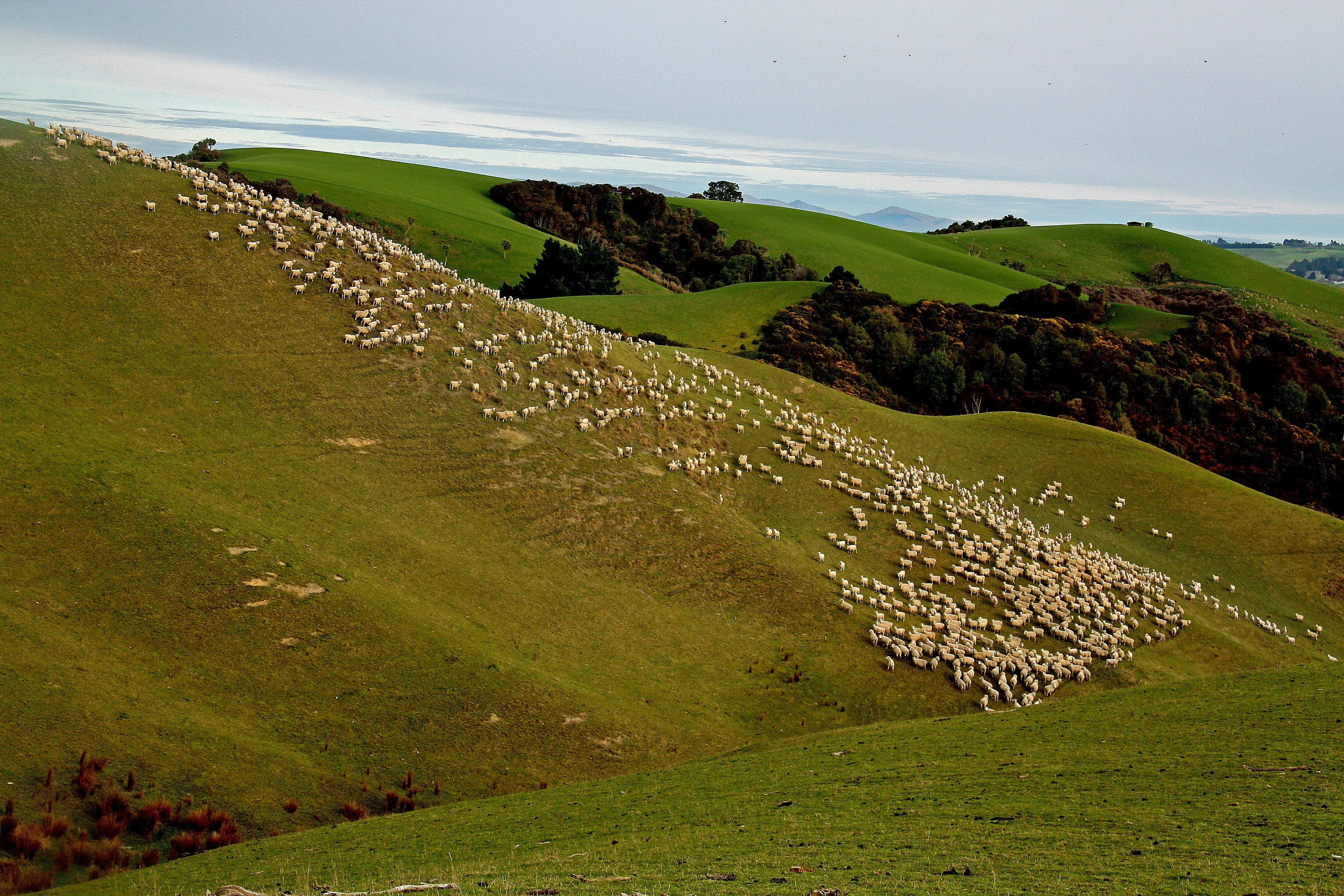 Photo by splashabout