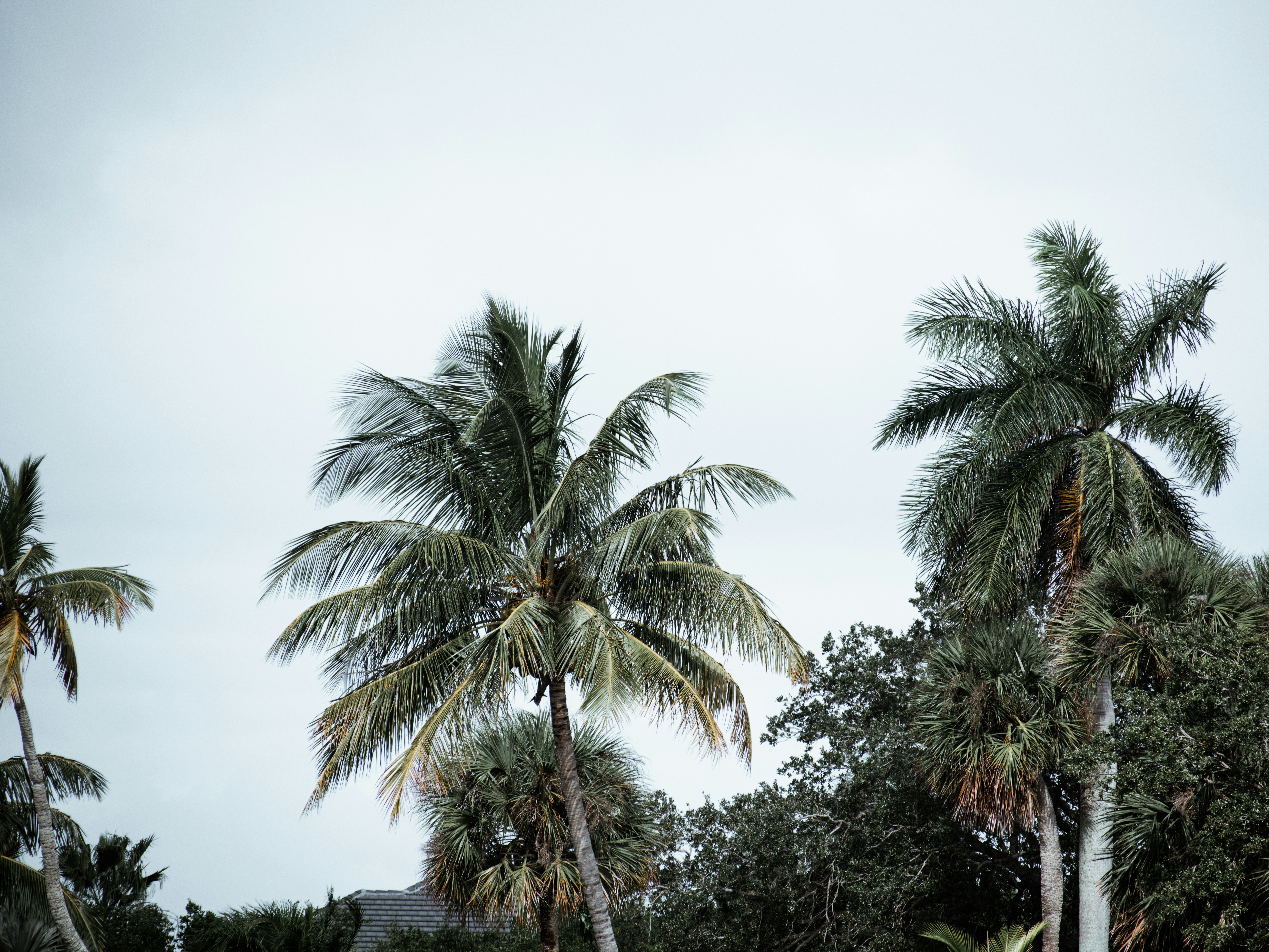 Photo by averycocozziello