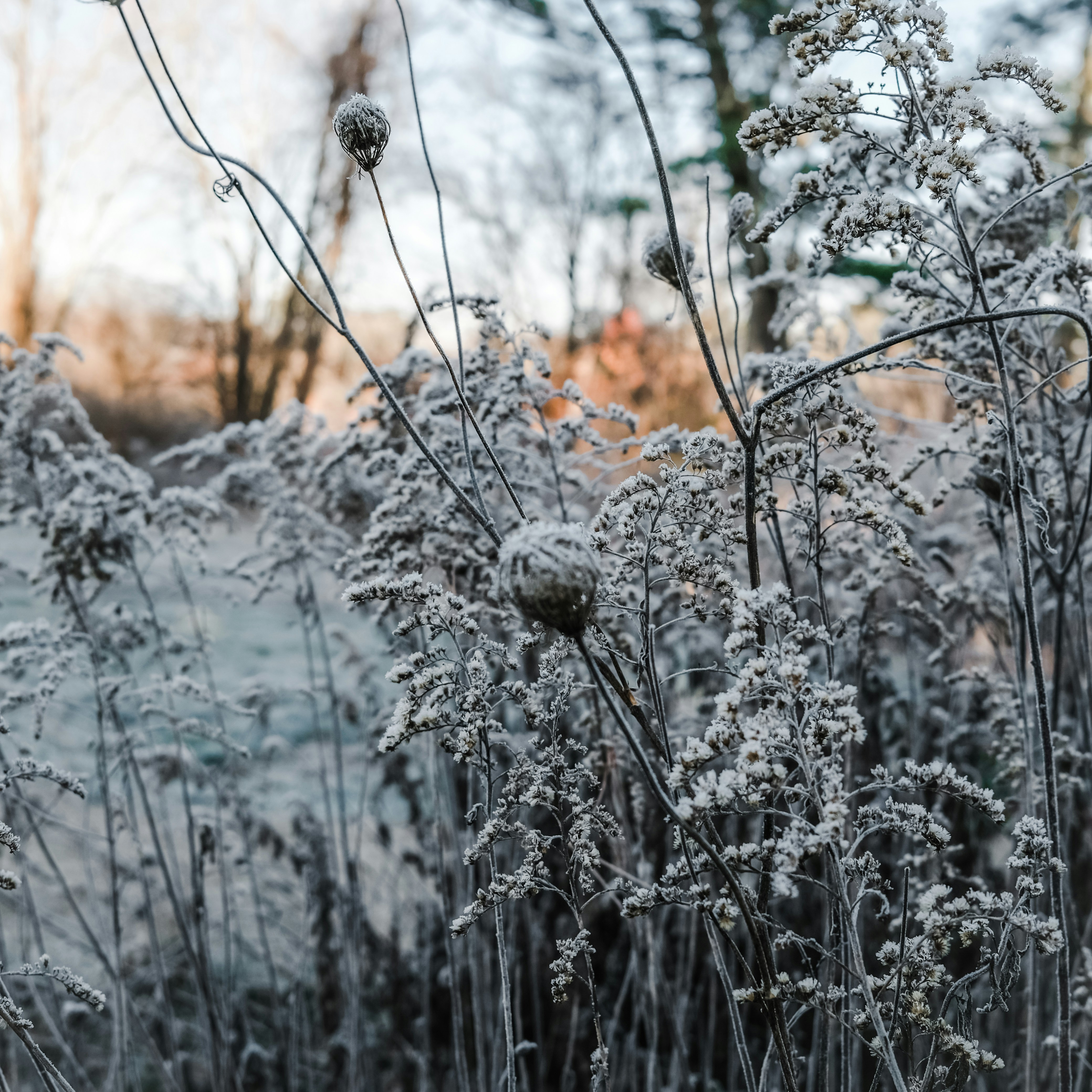 Photo by pegfitzpatrick