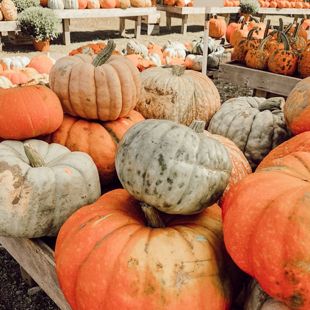 orange pumpkins on brown wooden crate