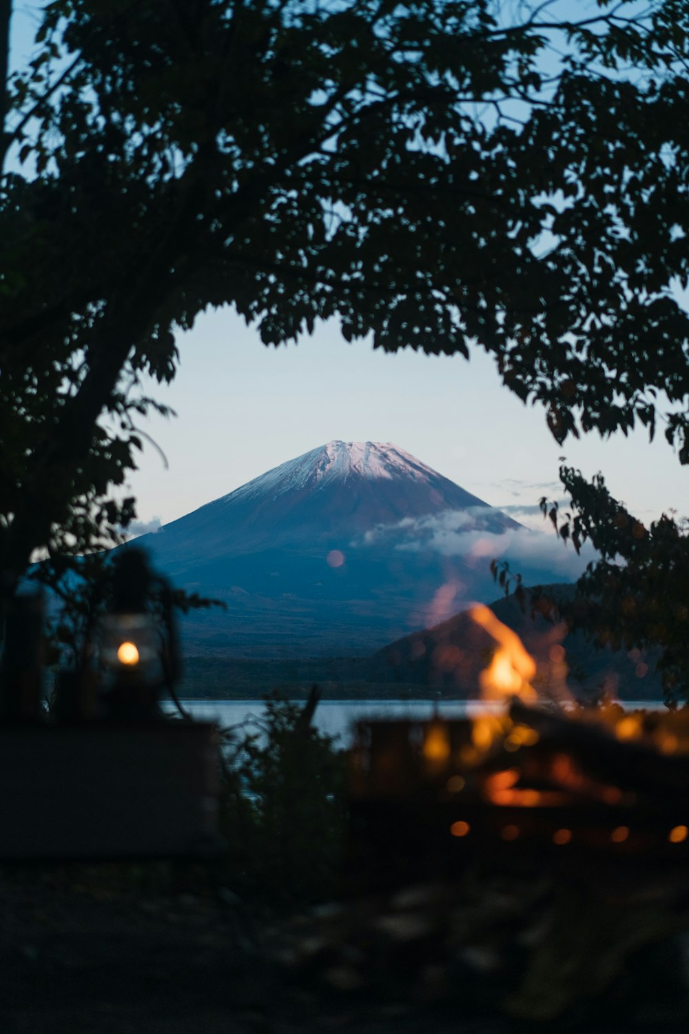 silhouette of trees and mountain during night time