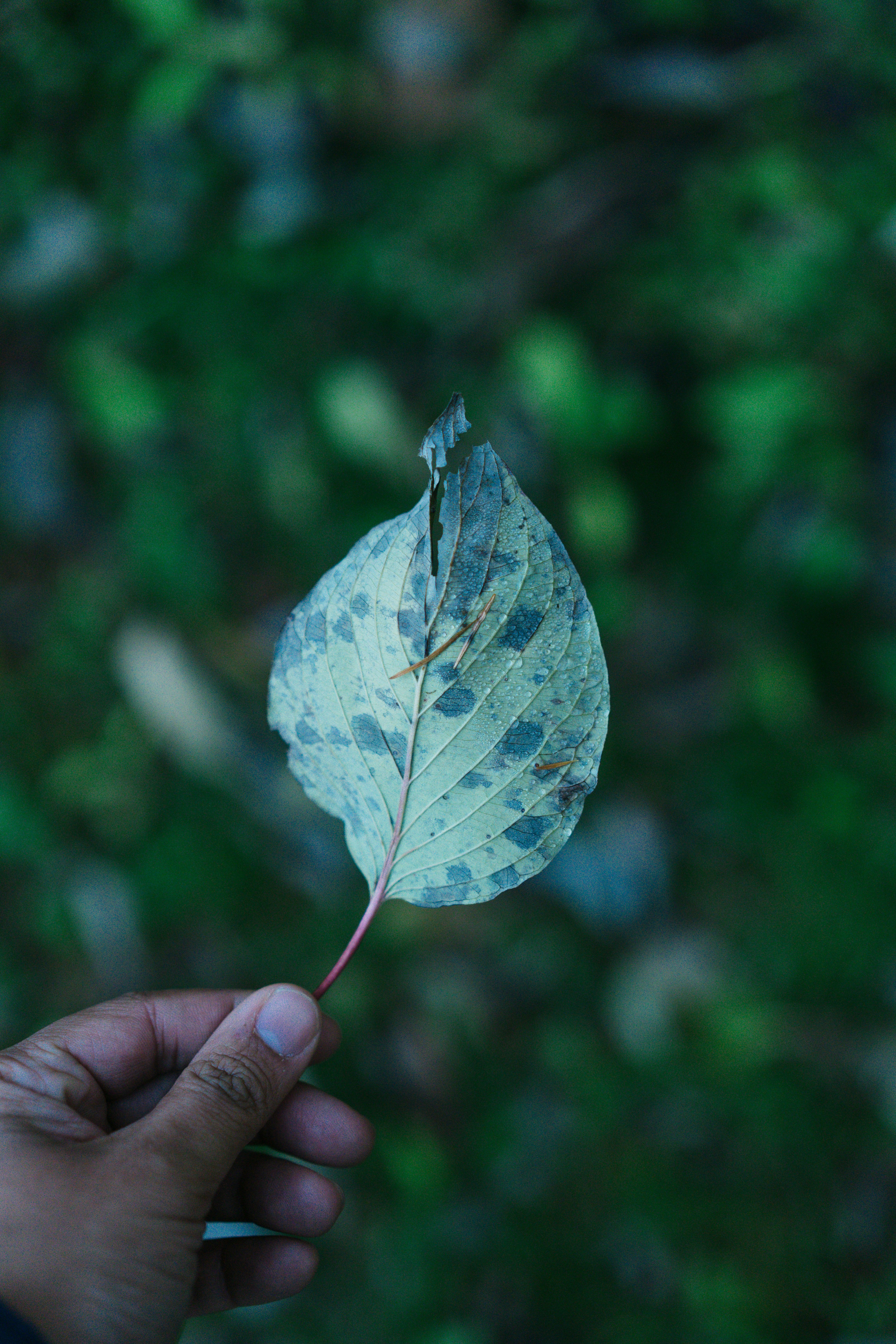 Photo by _______life_