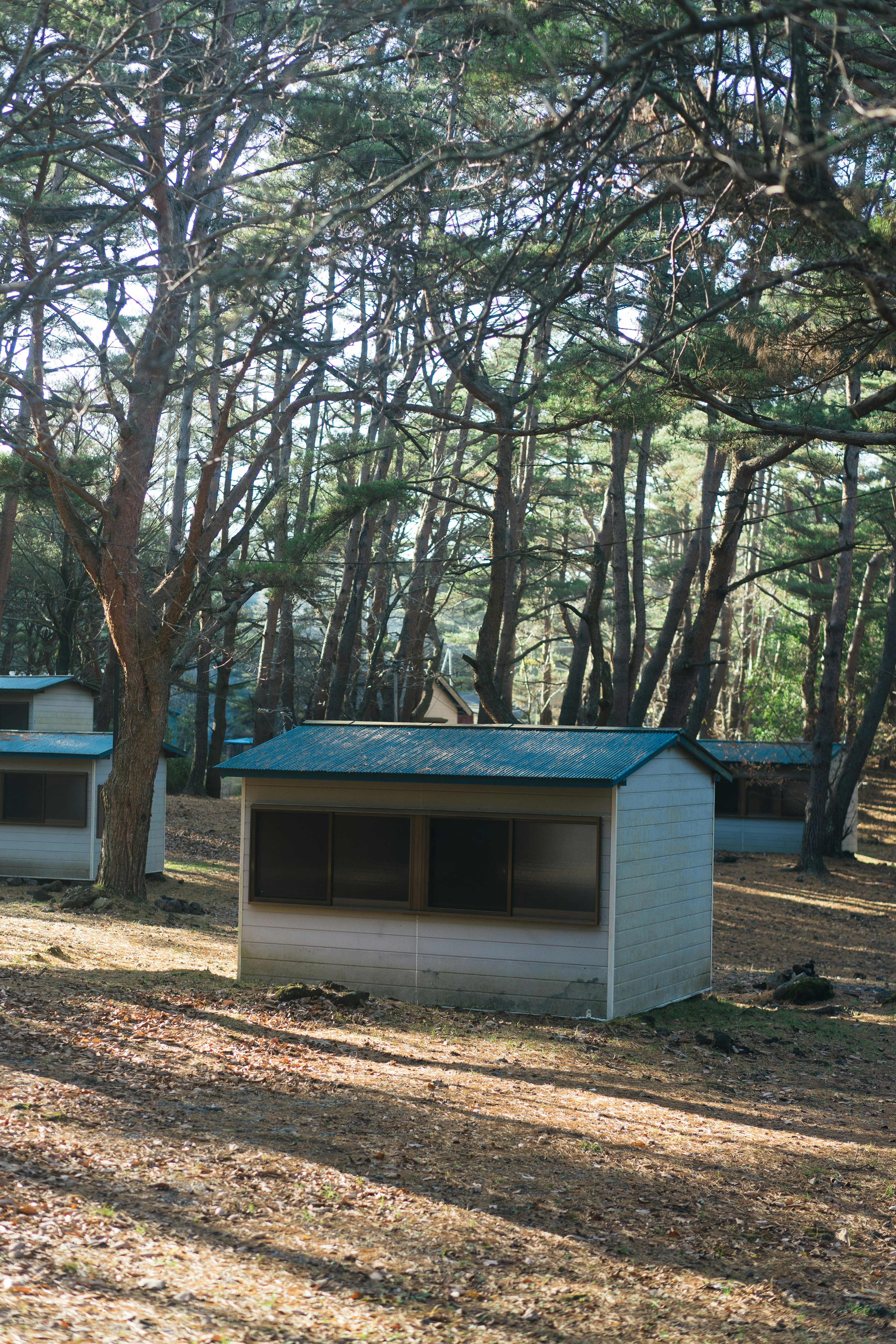 Photo by _______life_