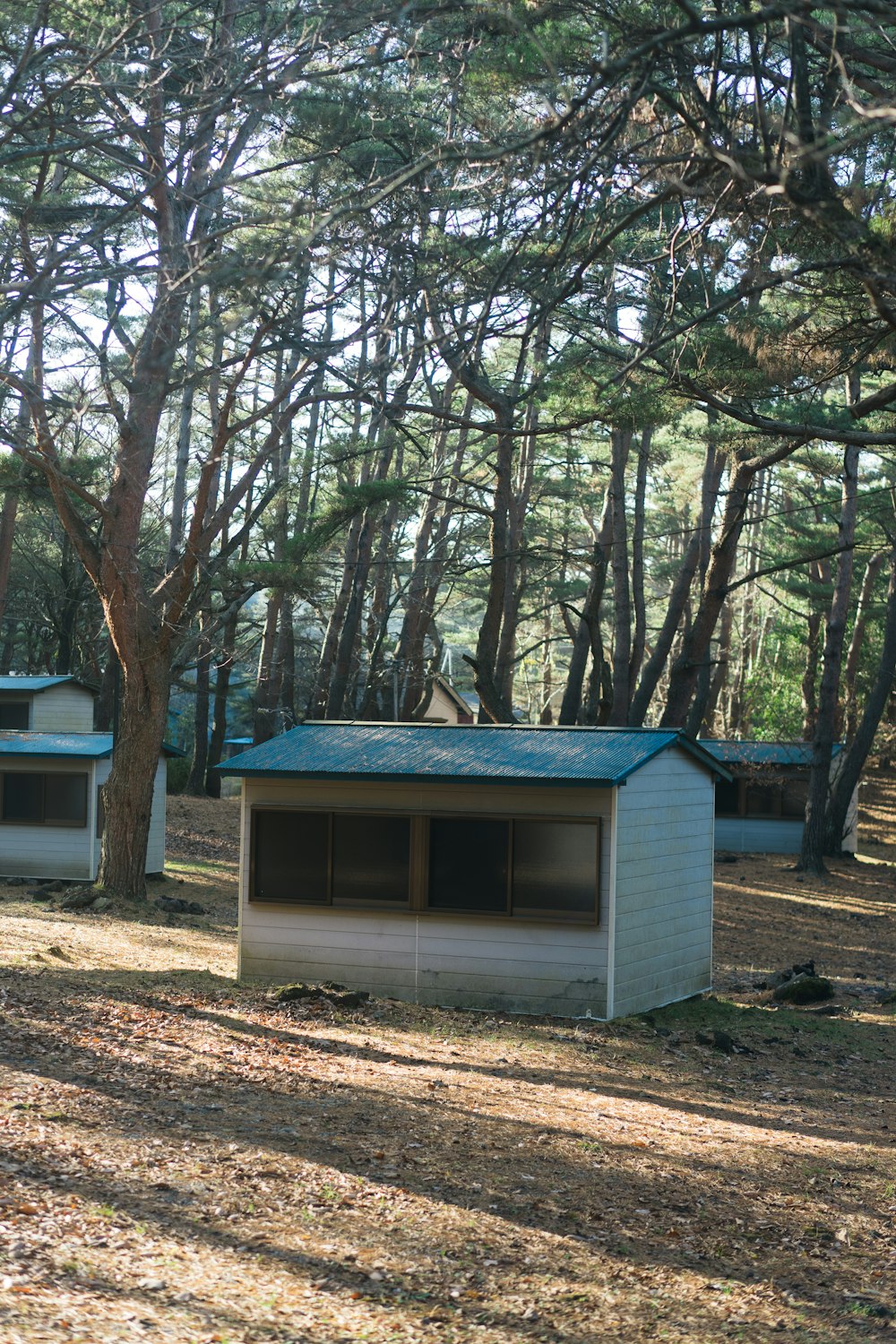 Casa de madera azul y blanca rodeada de árboles durante el día