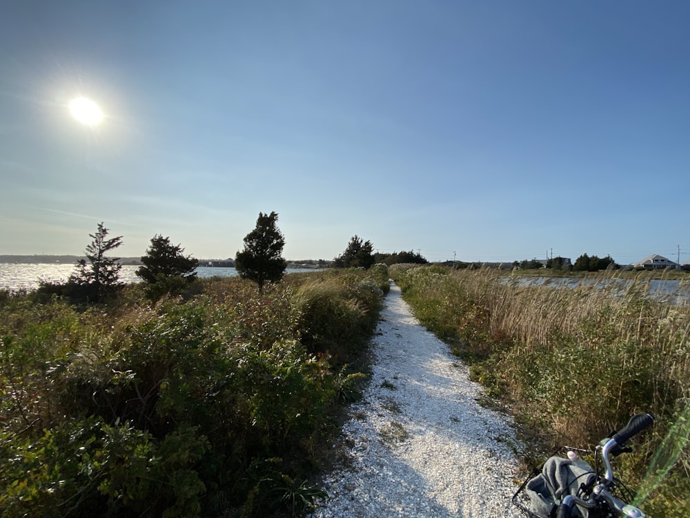 gray dirt road between green grass field under blue sky during daytime