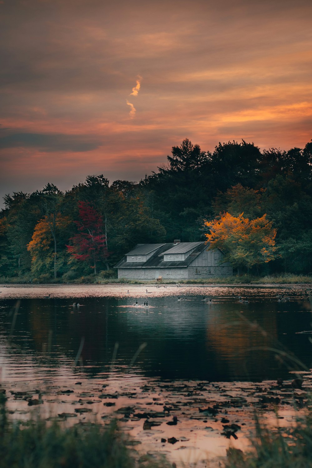 white and black house near body of water during sunset