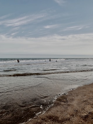 person in sea shore during daytime