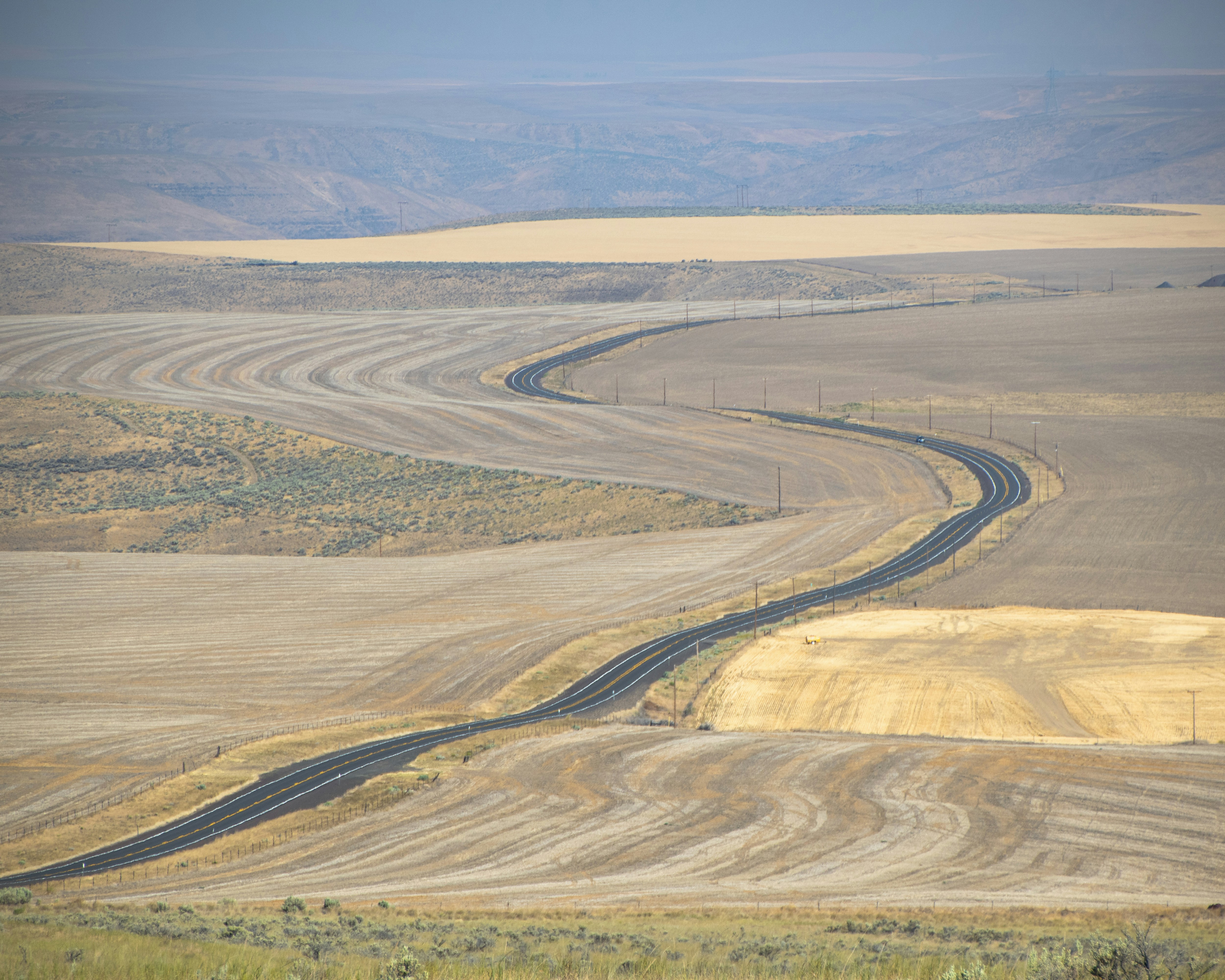 Photo by tcollinsdesign