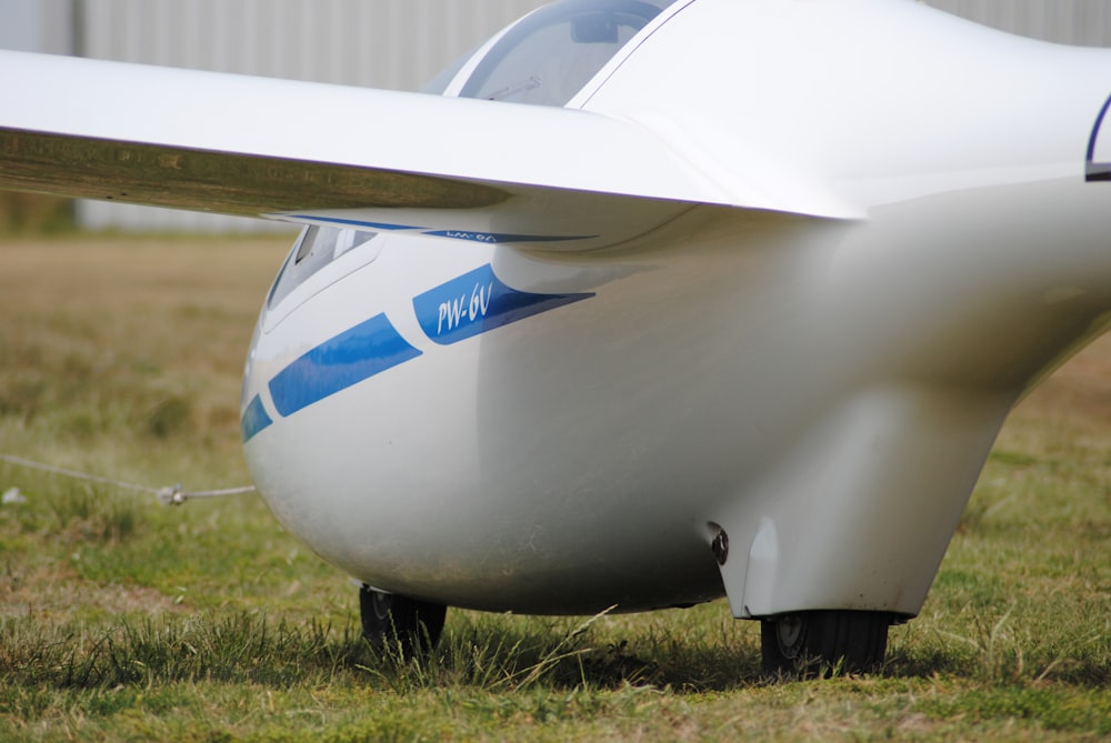 white and blue surfboard on green grass field