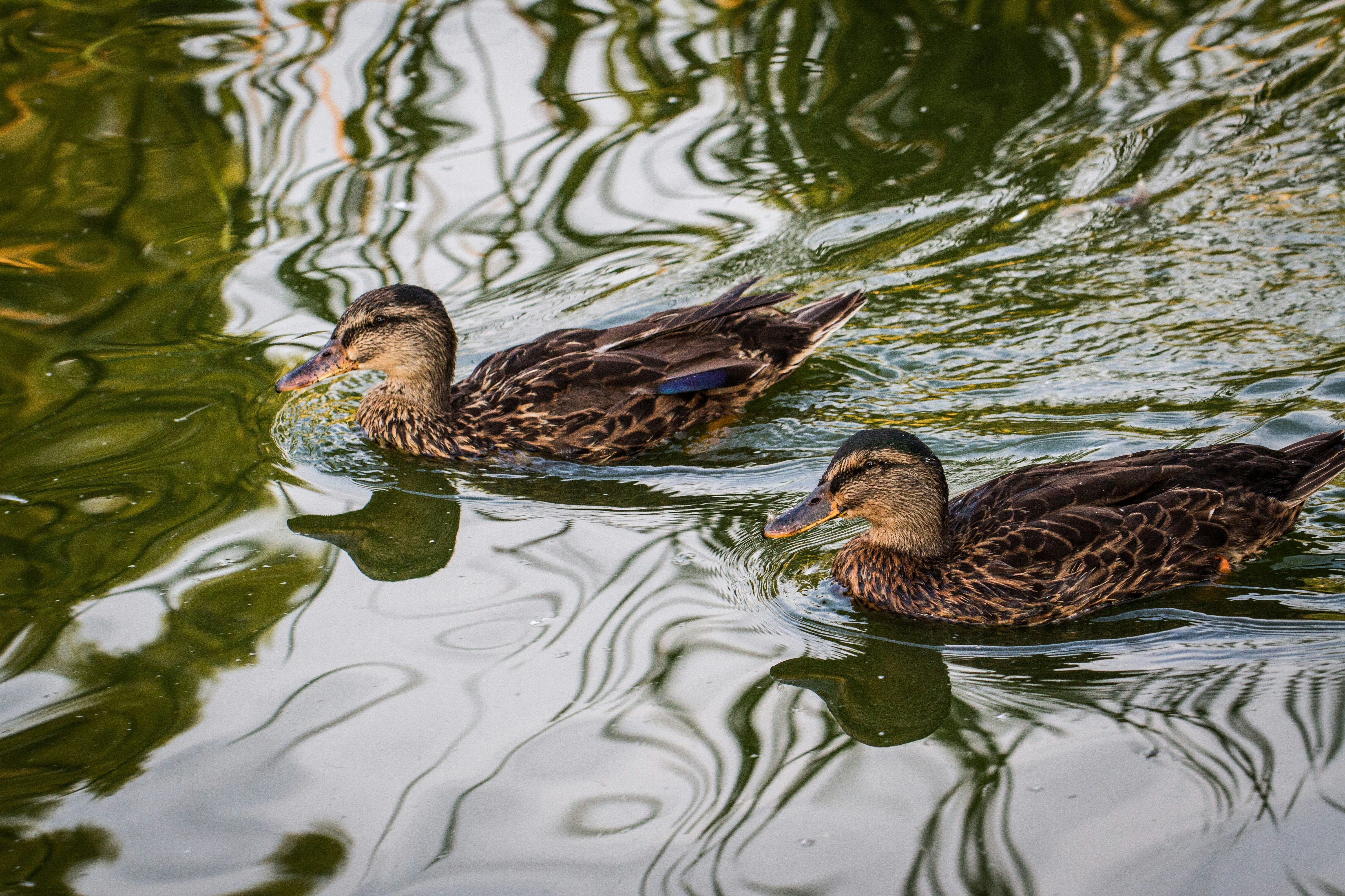 Photo by capturelight