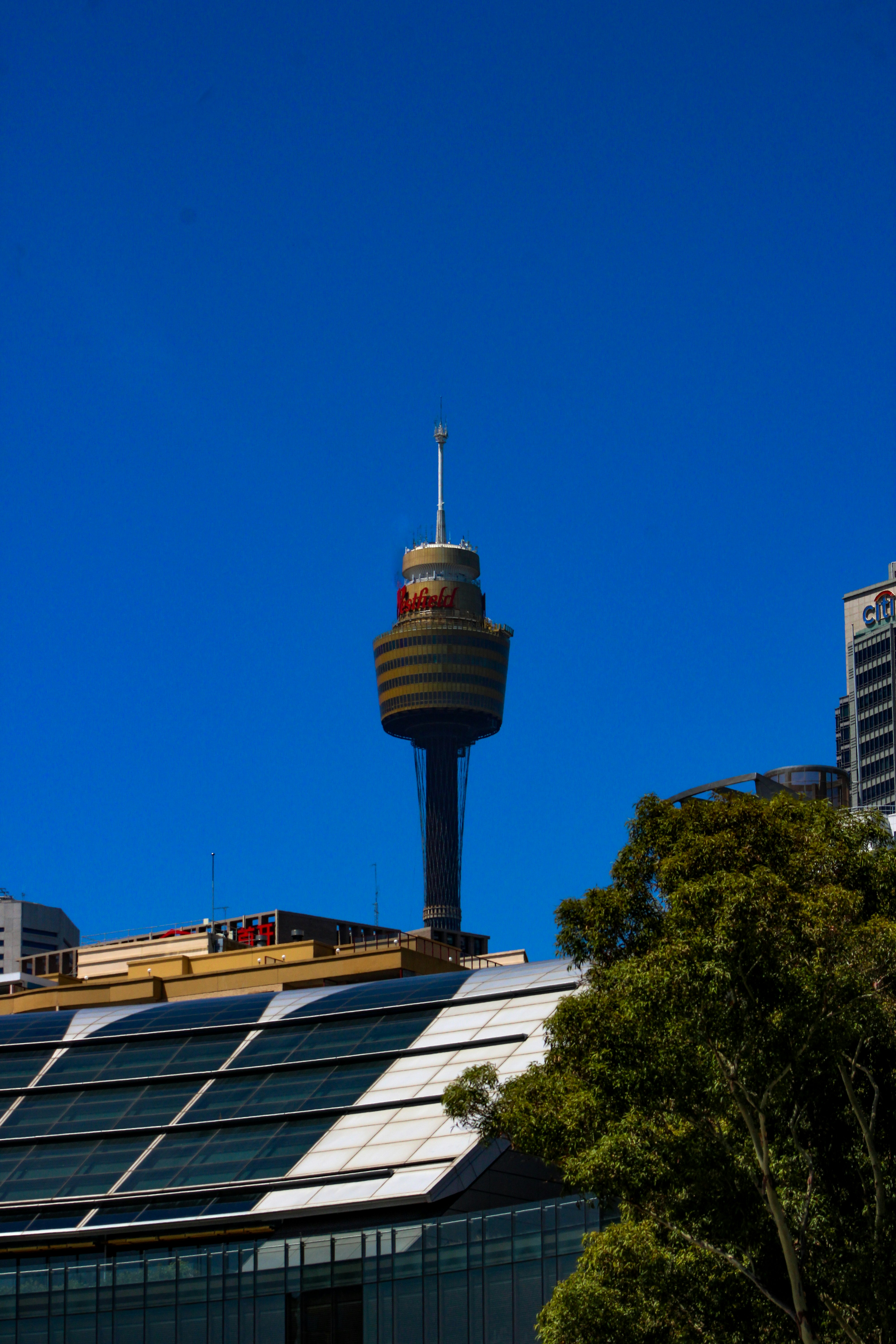 Photo by dynamite_luke