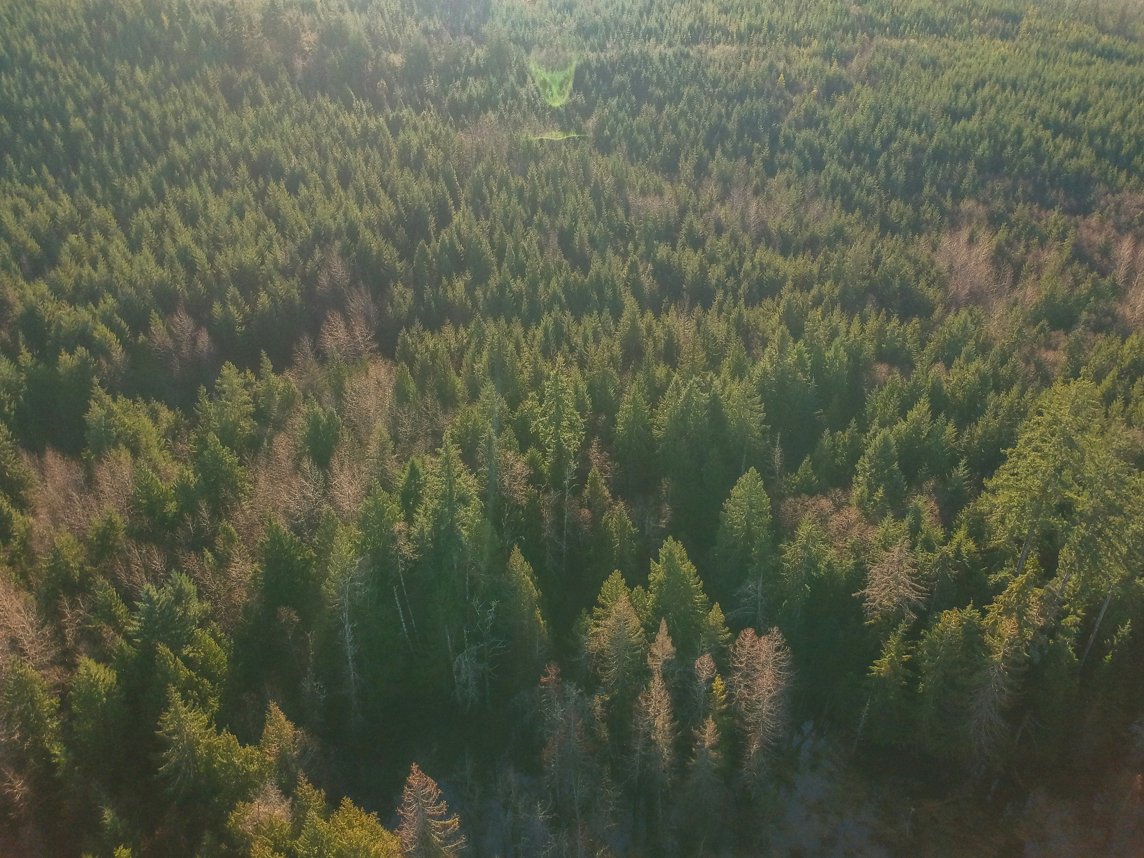 Photo by colefreeman