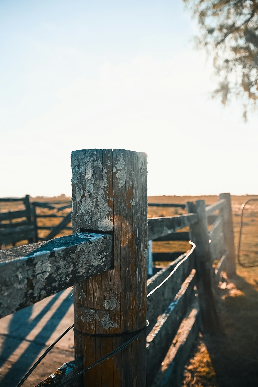 brown wooden fence during daytime