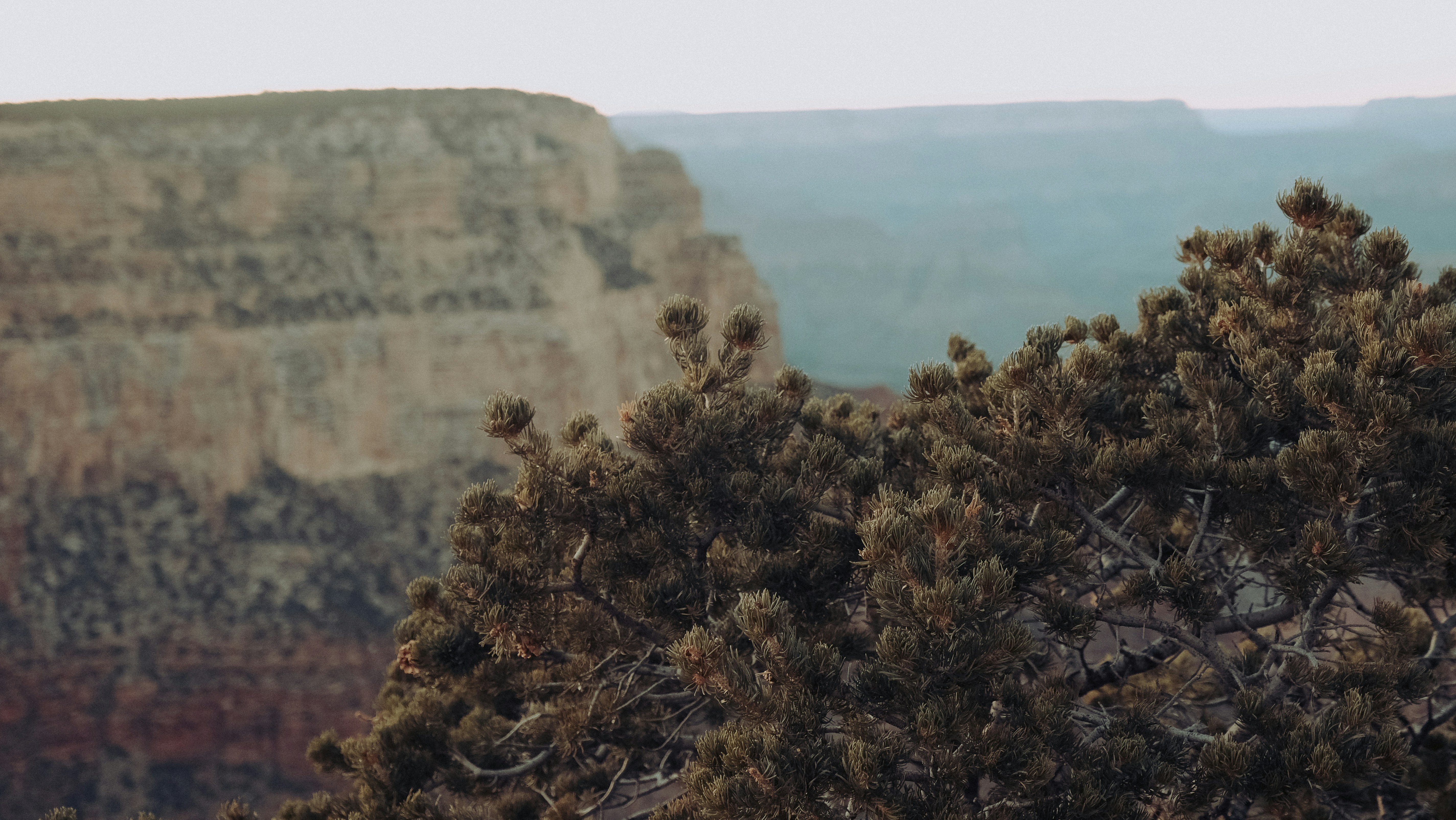 Stop image for Santa Fe to Monument Valley: 3-Day Desert Journey - green trees on mountain during daytime -  in Southwest USA - Photo by Aiden Craver on Unsplash