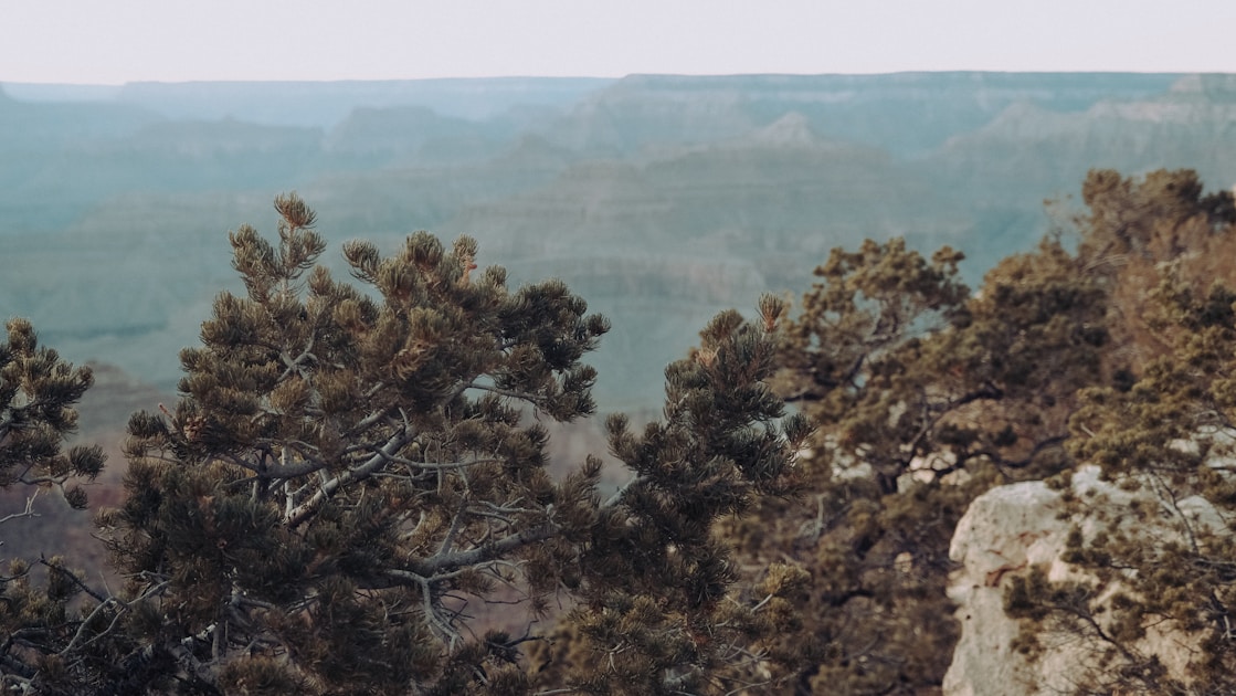 Mogollon Rim edge with ponderosa pine and rim-rock country — Unit 23 elk habitat