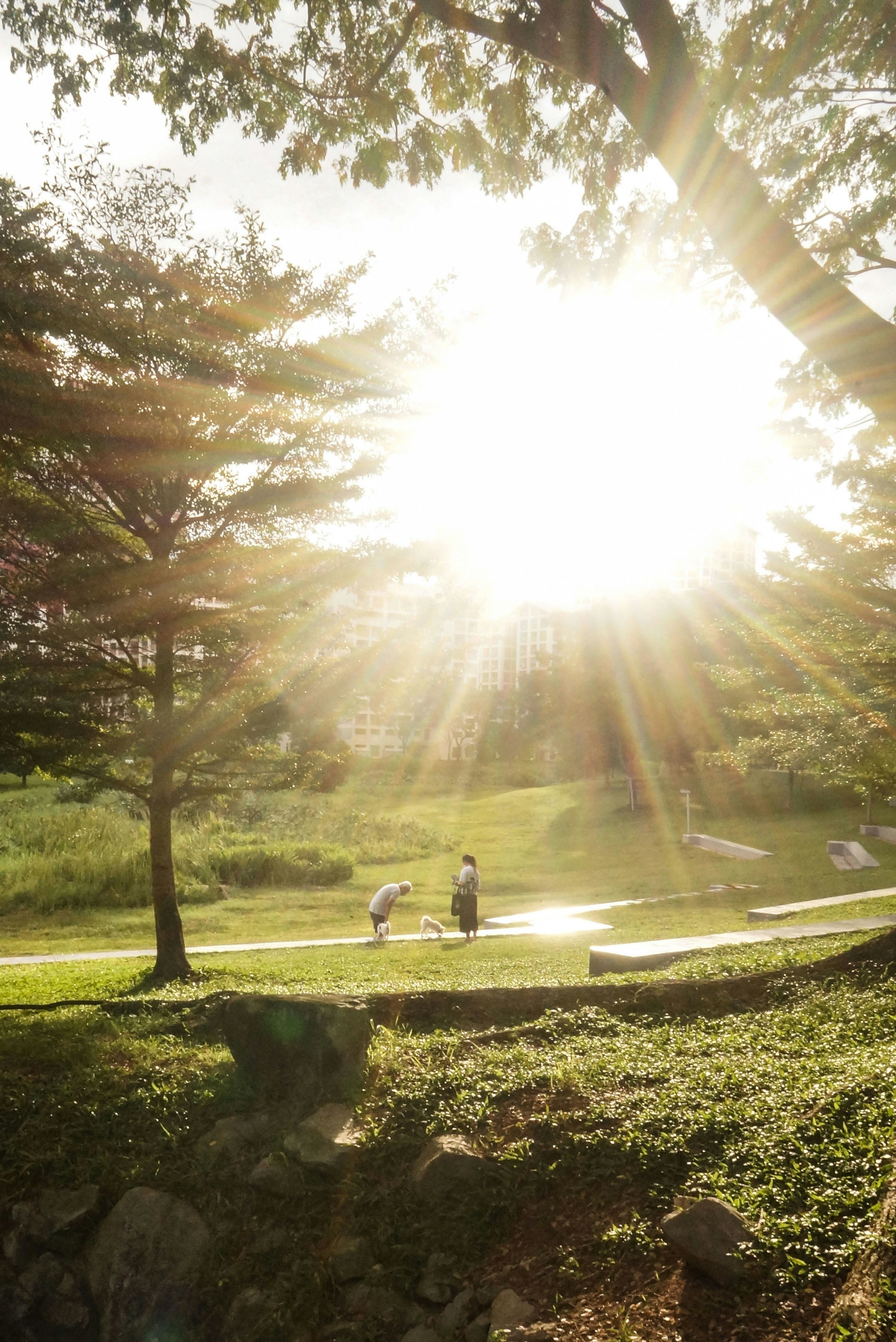 Photo by alvinaanggraeni