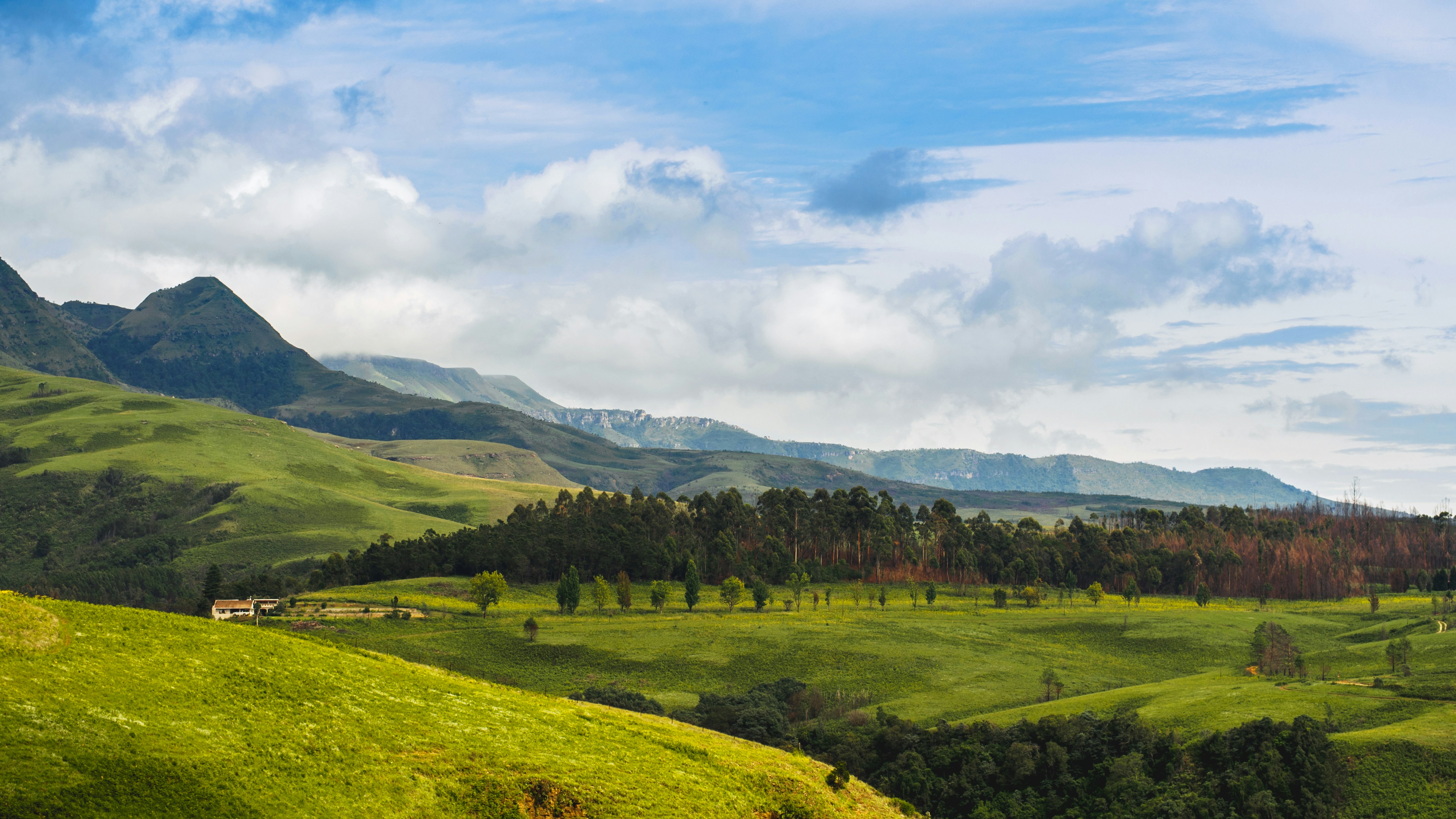 Photo by stuffinabox