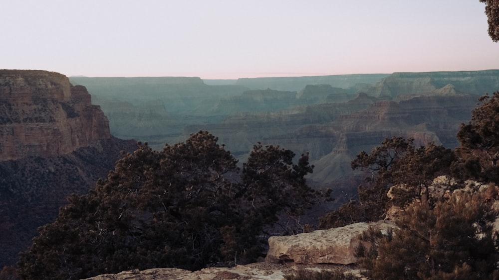 green trees on brown rocky mountain during daytime