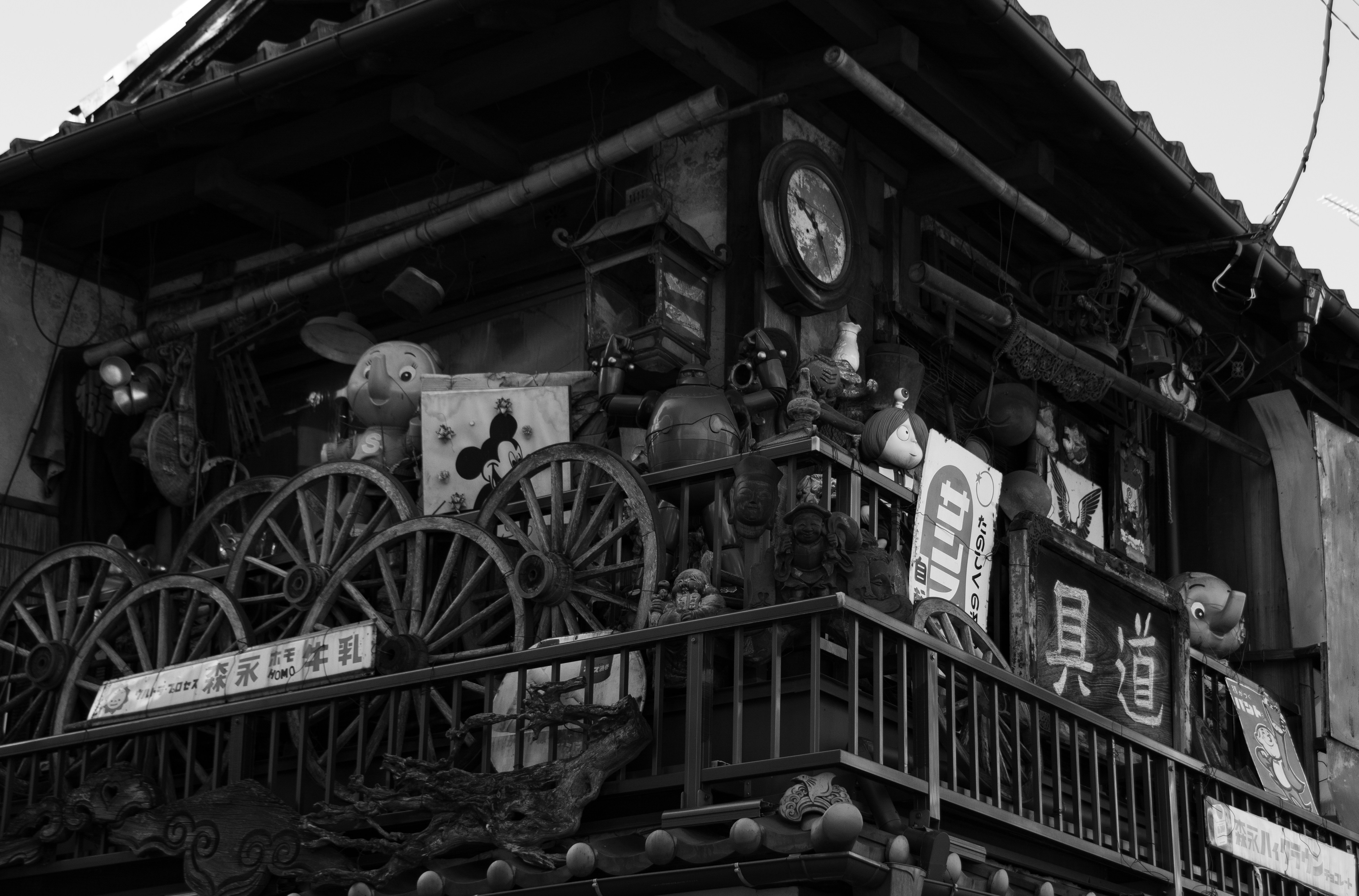 Photo by jack_young022