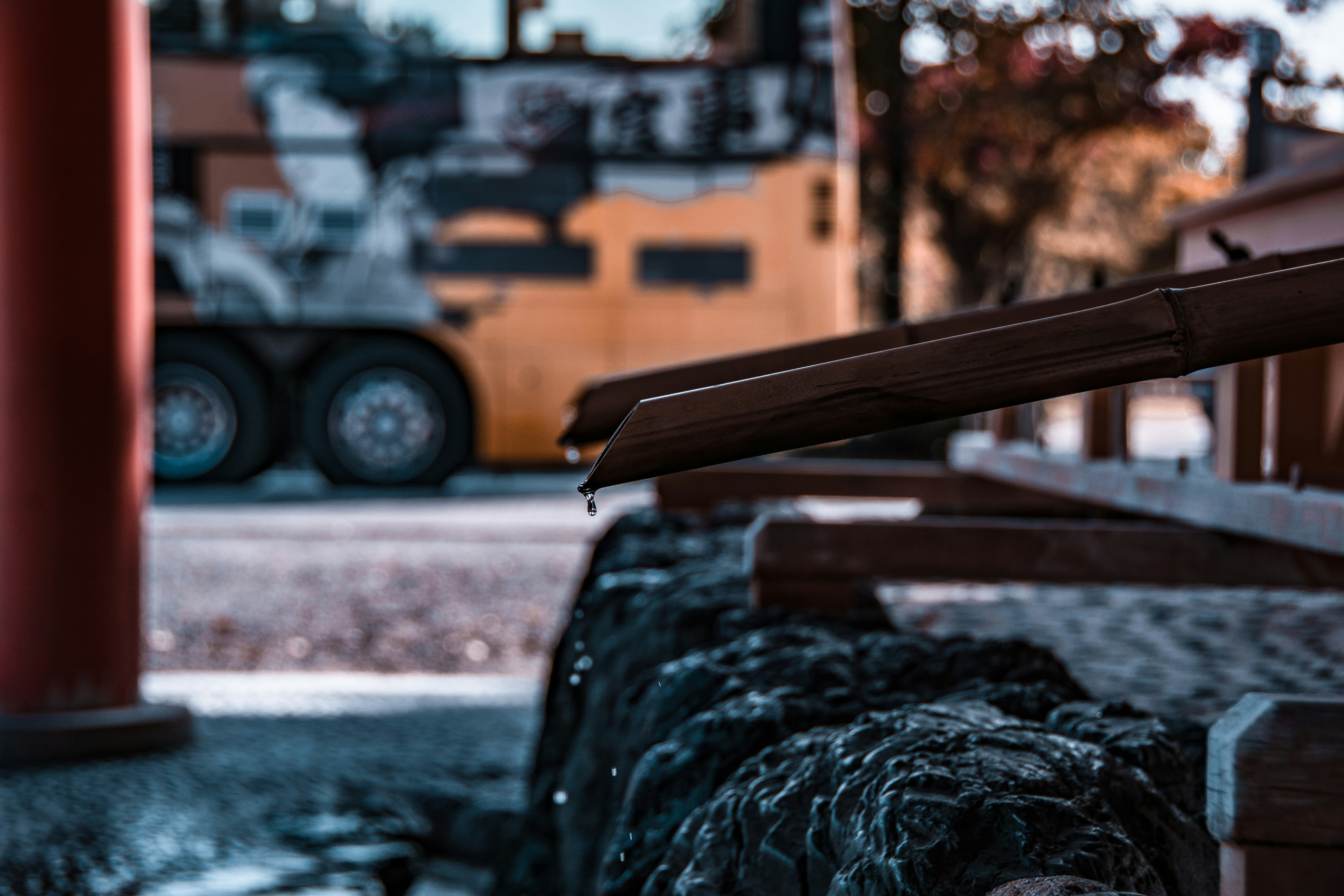 Photo by jack_young022