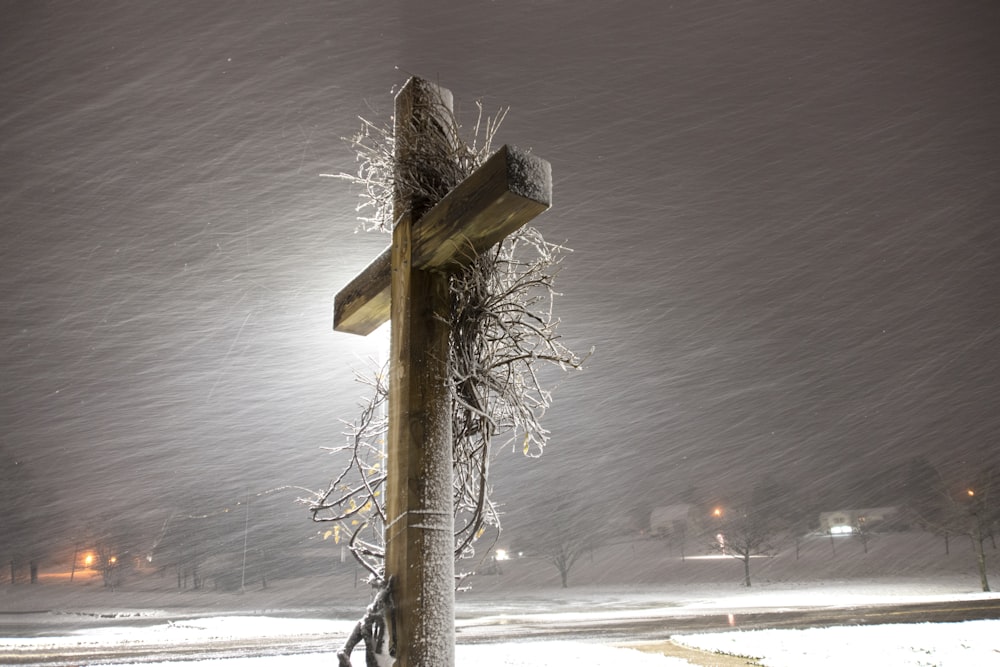 brown wooden post with snow on top during daytime