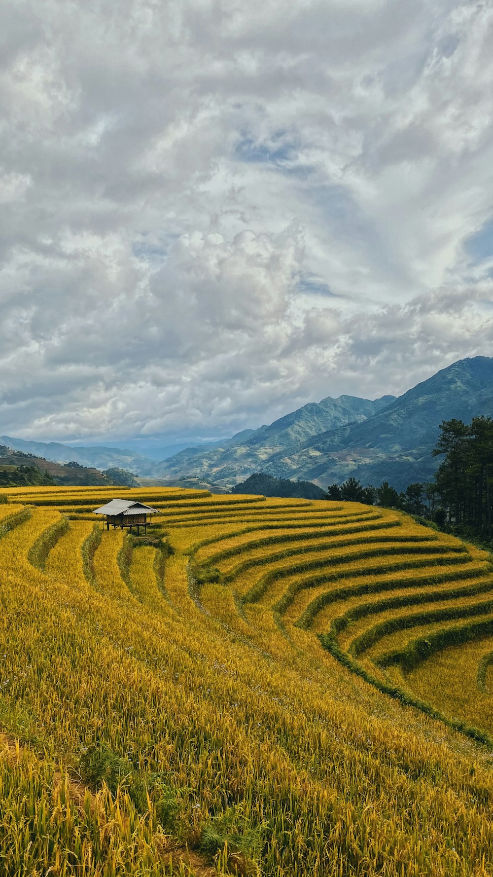 green grass field near mountains under white clouds during daytime