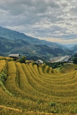 green grass field near green mountains during daytime