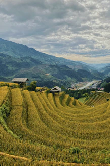green grass field near green mountains during daytime