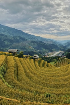 green grass field near green mountains during daytime
